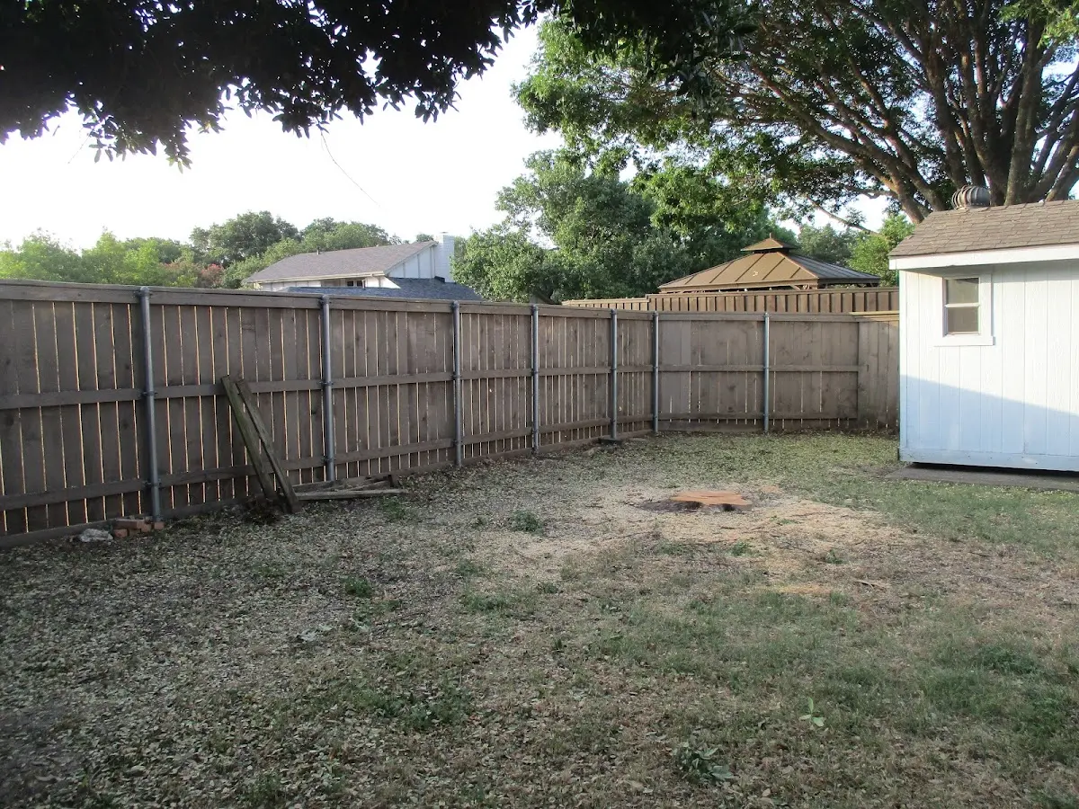 Cleared yard after professional tree removal in Port Orange