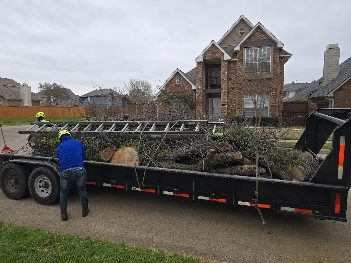 Expert Tree Removal with proper safety equipment in Port Orange